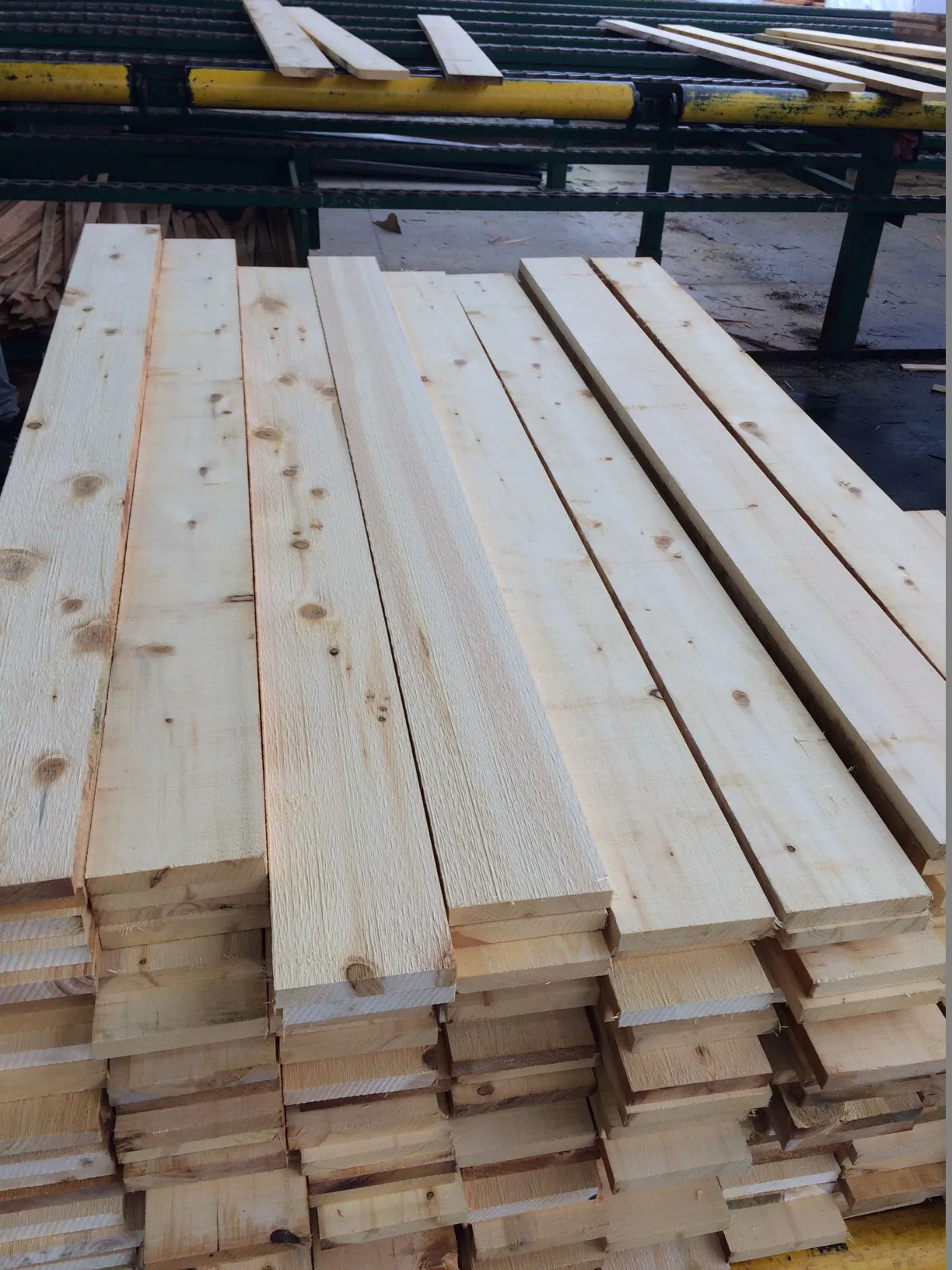 Alaskan yellow cedar boards on a mill sorting table